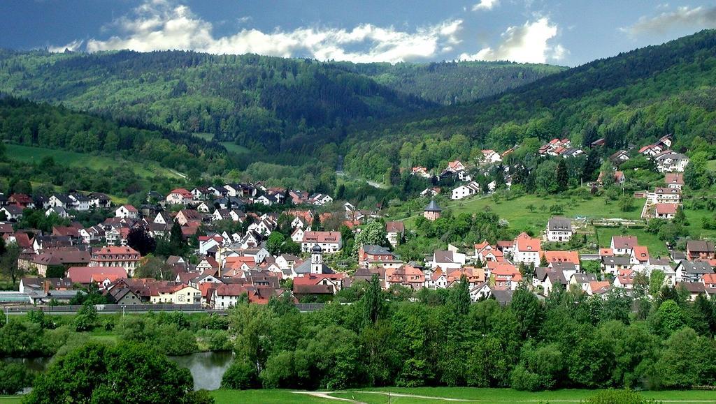 Hotel Krone Laudenbach  エクステリア 写真