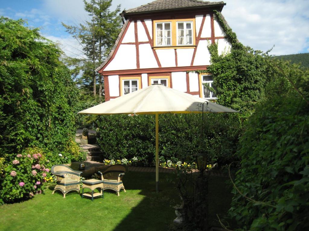 Hotel Krone Laudenbach  エクステリア 写真