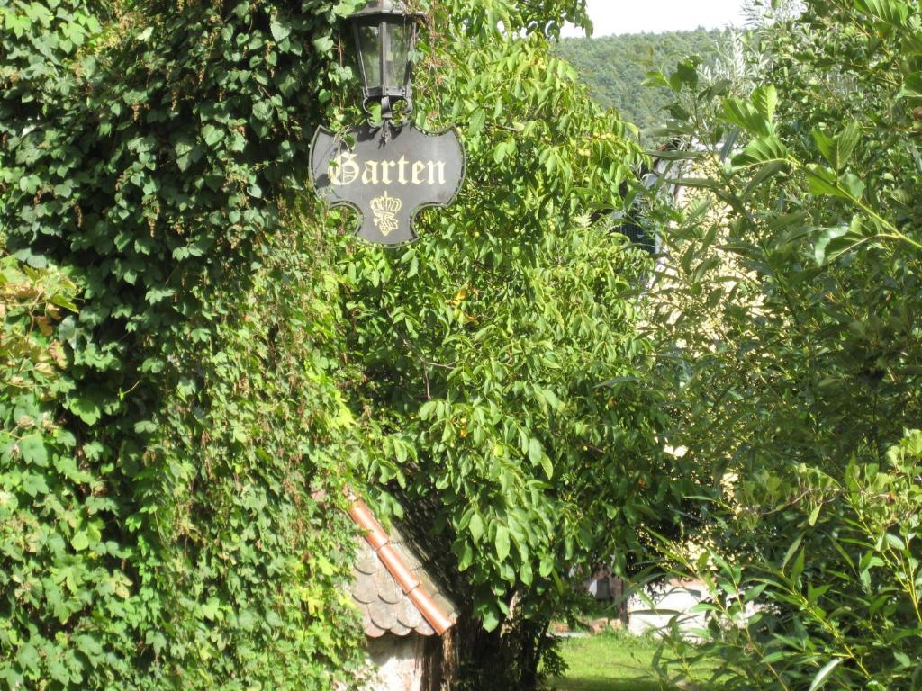Hotel Krone Laudenbach  エクステリア 写真